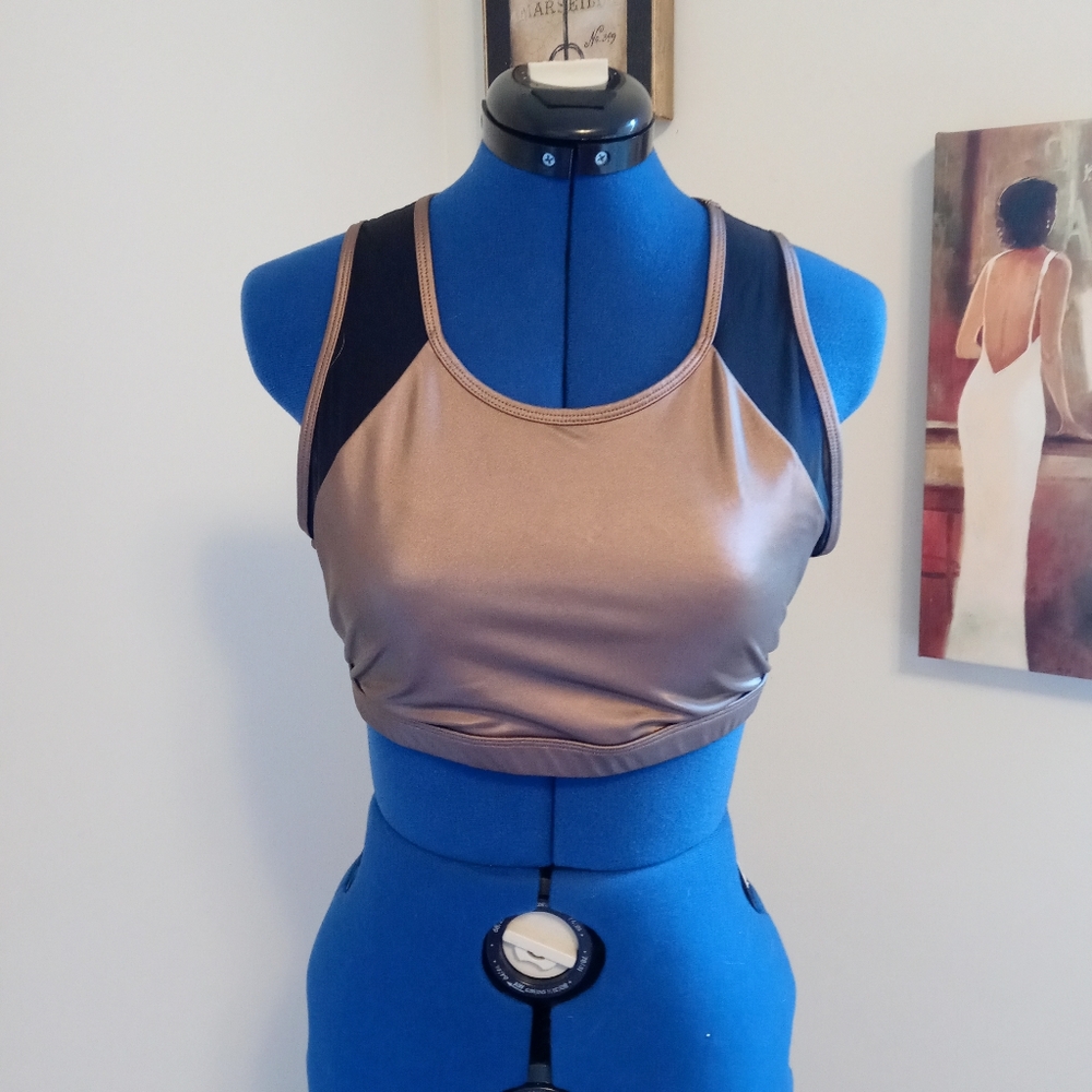 Fabletics Bronze and Mesh Sports Bra sz L